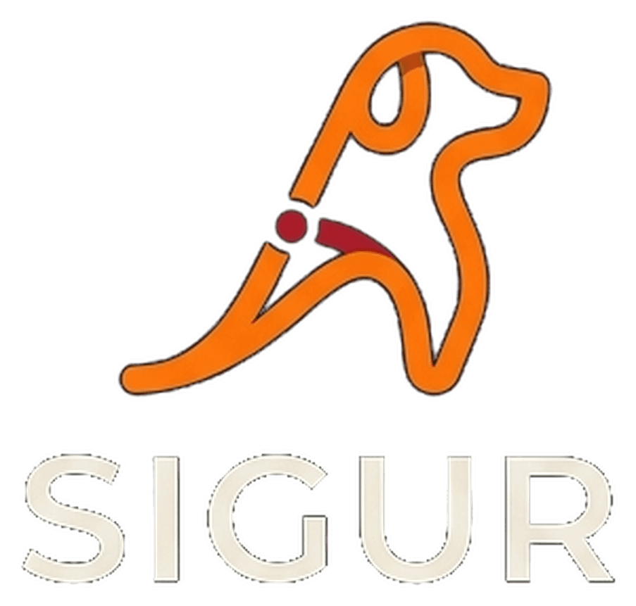 SIGUR